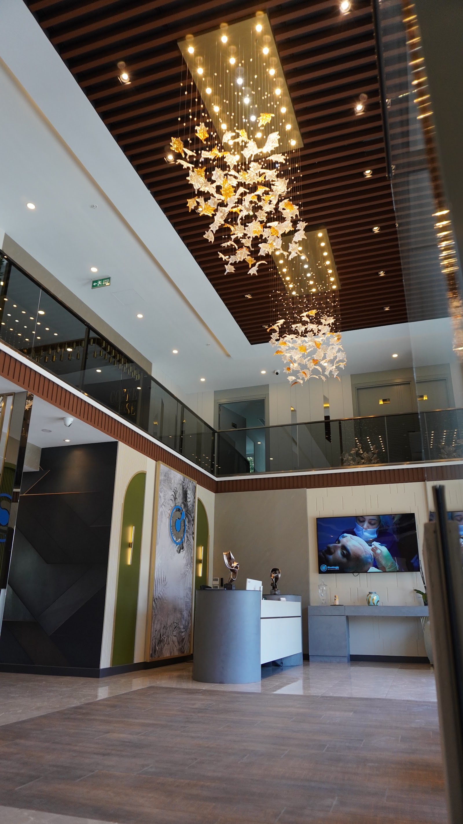 Özel Bluemagic Group Clinic Poliklinik Saç Ekim Birimi