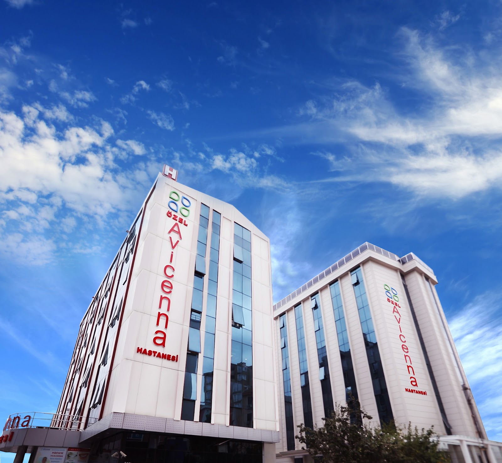 Özel Avicenna Hastanesi Ataşehir (anadolu Çınar)